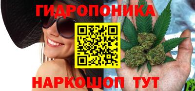 МДПВ Кимры