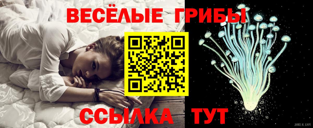 Псилоцибиновые грибы Cubensis Вологда