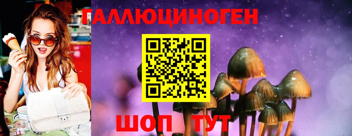 Галлюциногенные грибы GOLDEN TEACHER  Вход с VPN  Вологда 
